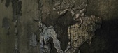 Enlarge photo 221