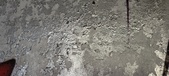 Enlarge photo 215