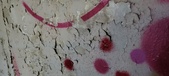 Enlarge photo 209