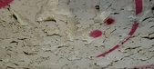 Enlarge photo 207