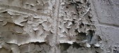 Enlarge photo 185