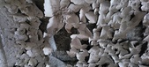 Enlarge photo 181