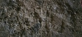 Enlarge photo 180