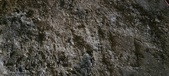 Enlarge photo 179