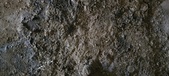 Enlarge photo 177
