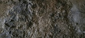 Enlarge photo 176