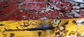 Enlarge photo 160