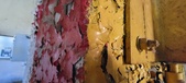 Enlarge photo 155