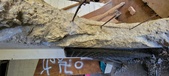 Enlarge photo 142