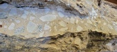 Enlarge photo 141