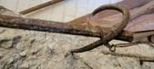 Enlarge photo 137