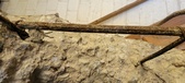 Enlarge photo 135