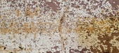 Enlarge photo 133