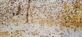 Enlarge photo 131