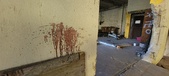 Enlarge photo 127