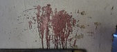 Enlarge photo 125