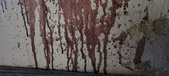 Enlarge photo 124