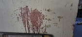 Enlarge photo 123
