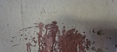 Enlarge photo 121
