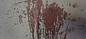 Enlarge photo 120