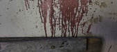 Enlarge photo 119