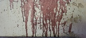 Enlarge photo 118