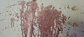 Enlarge photo 117