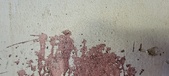 Enlarge photo 116