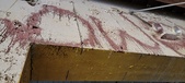 Enlarge photo 115