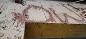 Enlarge photo 114