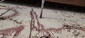 Enlarge photo 112