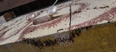 Enlarge photo 108