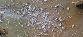 Enlarge photo 104