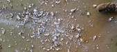 Enlarge photo 103