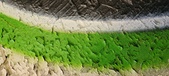 Enlarge photo 98