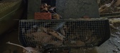 Enlarge photo 92