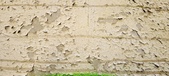 Enlarge photo 88