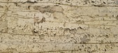 Enlarge photo 82