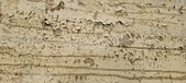 Enlarge photo 83