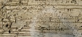 Enlarge photo 81