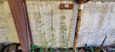 Enlarge photo 73