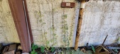 Enlarge photo 74