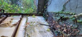 Enlarge photo 71