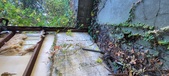 Enlarge photo 72