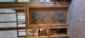 Enlarge photo 54