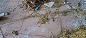 Enlarge photo 48