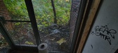 Enlarge photo 41