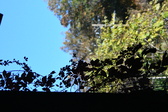 Enlarge photo 366