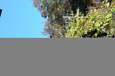 Enlarge photo 367