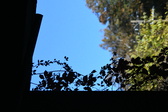 Enlarge photo 365